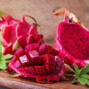 Light Red Dragon Seeds