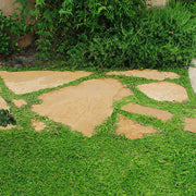 Drought Tolerant Ground Cover Seeds