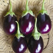 Dark Violet Eggplant Seeds