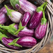 Fairy Tale Eggplant Seeds