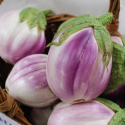 Lavender Eggplant Seeds