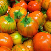 Orange Eggplant Seeds