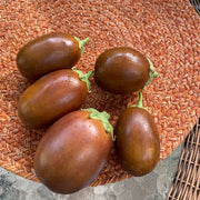 Brown Eggplant Seeds
