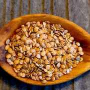 Eggplant Seeds - All In One For Home Gardens