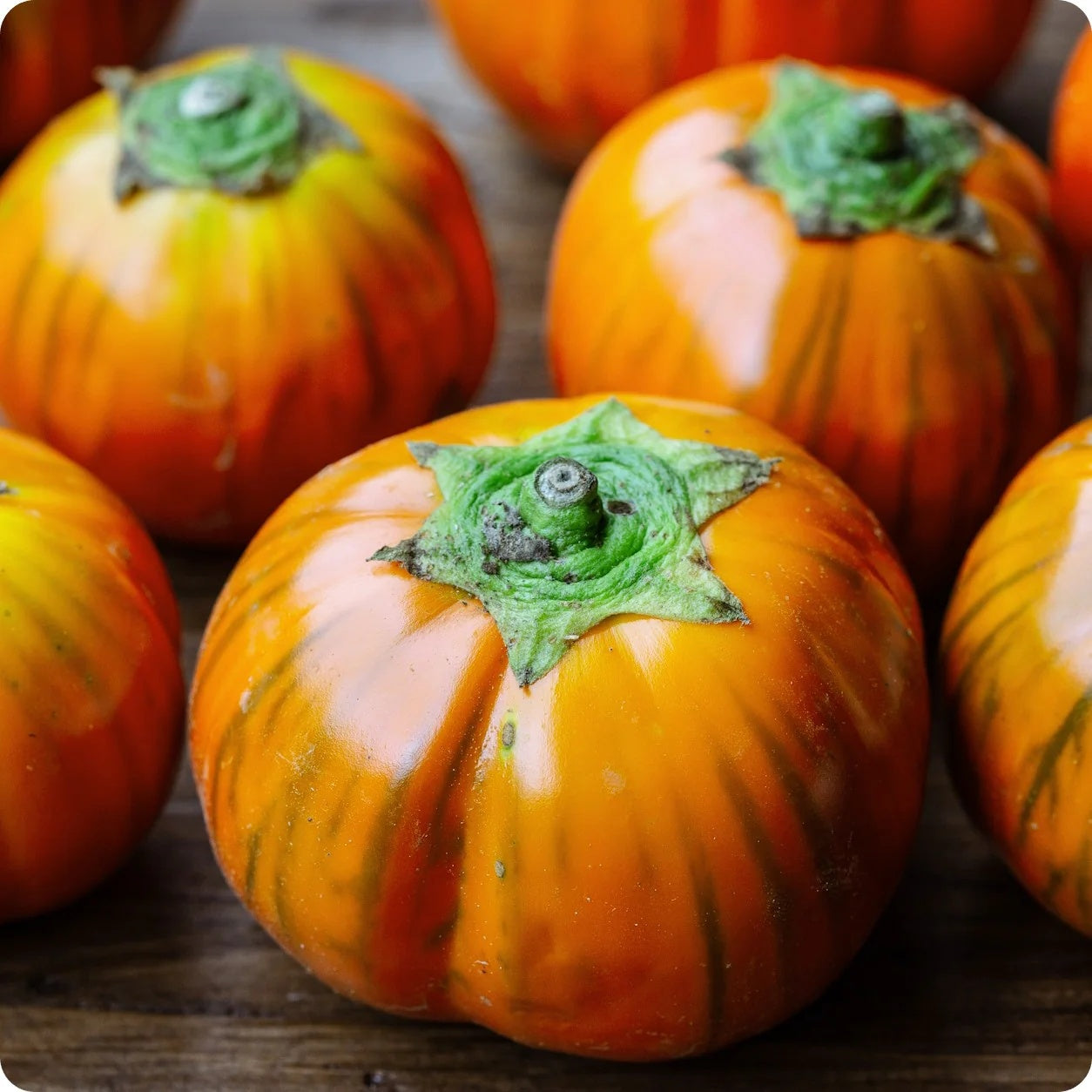 Orange Eggplant Seeds