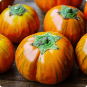 Orange Eggplant Seeds