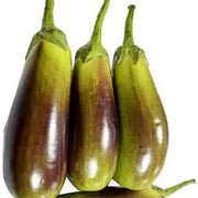 Red and Green Eggplant Seeds