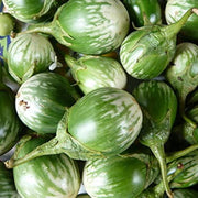 Thai Round Eggplant Seeds