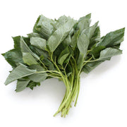 Corchorus olitorius Egyptian Spinach Seeds