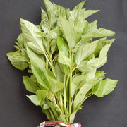 Corchorus olitorius Egyptian Spinach Seeds