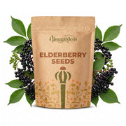 Elderberry Seeds – Sambucus nigra