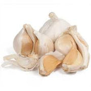 White Elephant Garlic Seeds
