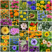 Elite Garden Flower Mix Seeds
