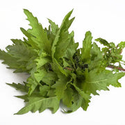 Herbaceous Epazote Seeds