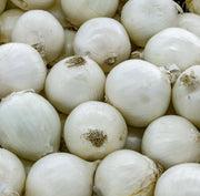 White Sweet Spanish Onion Seeds