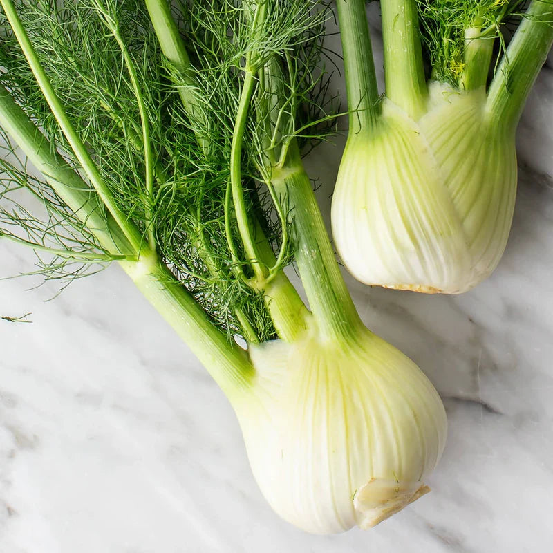 Common Fennel Seeds, Herbal
