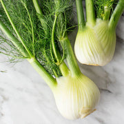 Common Fennel Seeds, Herbal