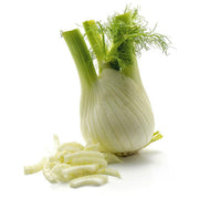 Sweet Florence Fennel Seeds, Herbal