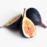 Black Mission Fig Seeds