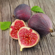 Brown Turkey Fig Seeds
