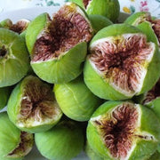 Kodota Fig Seeds