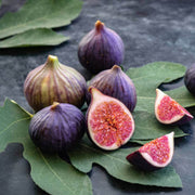 Fig Seeds - All In One For Home Gardens