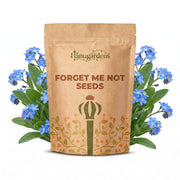 Forget Me Not Seeds – Myosotis sylvatica
