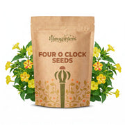 Four O Clock Seeds – Mirabilis jalapa