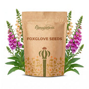 Foxglove Seeds – Digitalis purpurea