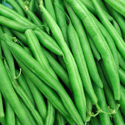 Slenderette Green French Bean Seeds