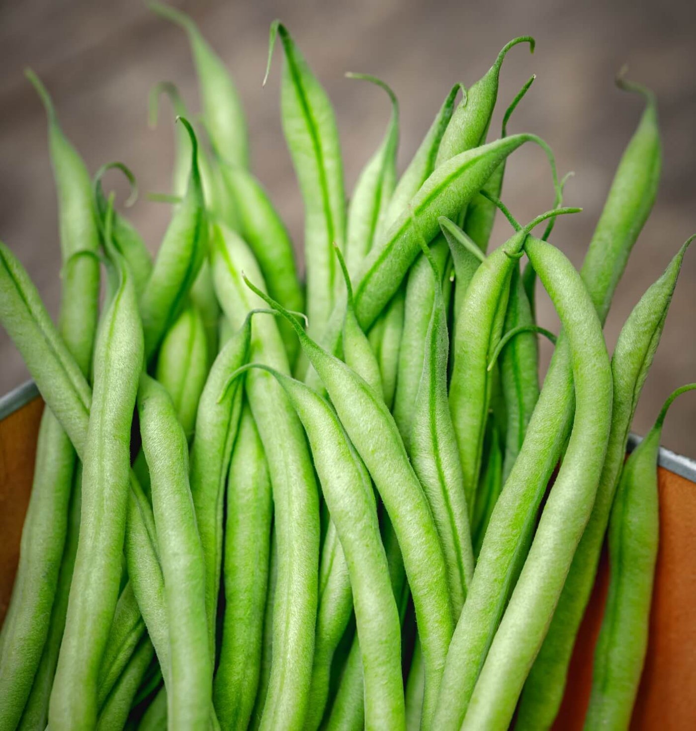 Slenderette Green French Bean Seeds
