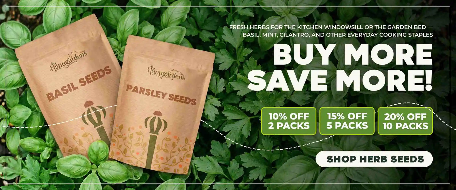 Shop Herb seeds Today!