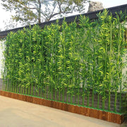 Garden Privacy Bamboo Seeds - Ornamental Bamboo Landscape Seeds