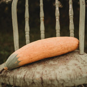Georgia Candy Rooster Squash Seeds - Vegetable Plant