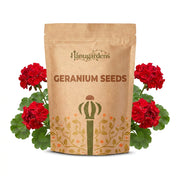 Geranium Seeds – Pelargonium × hortorum