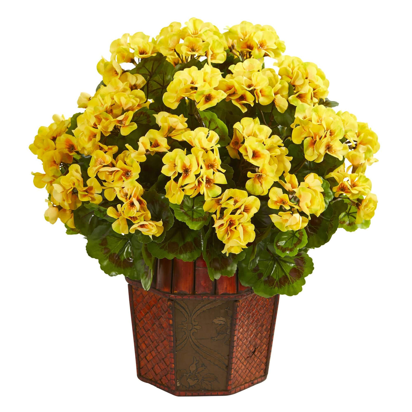 Yellow Golden Geranium Seeds