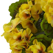 Yellow Golden Geranium Seeds