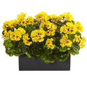 Yellow Golden Geranium Seeds