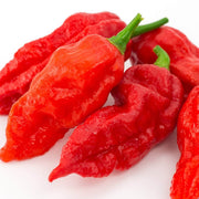 Bhut Jolokia Ghost Pepper Seeds
