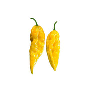 Yellow Ghost Pepper Seeds