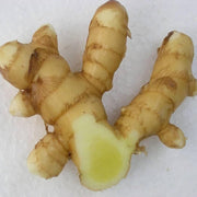 White Brown Ginger Seeds, Herbal