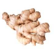Cream Ginger Seeds, Herbal