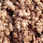 Brown Ginger Seeds, Herbal