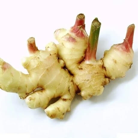 Green and White Ginger Seeds, Herbal