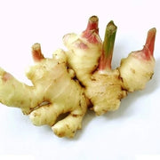 Green and White Ginger Seeds, Herbal
