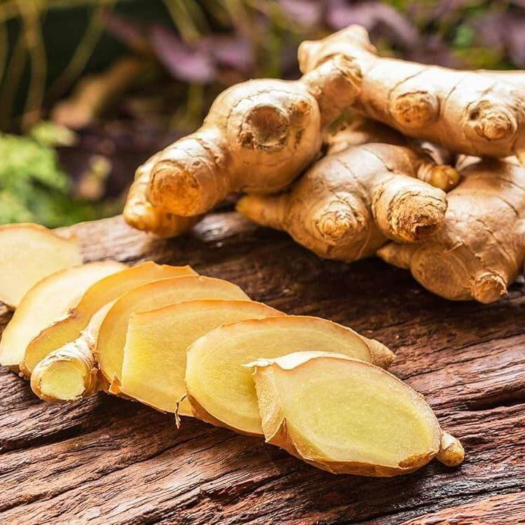 White Brown Ginger Seeds, Herbal