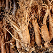Korean Ginseng Seeds, Herbal