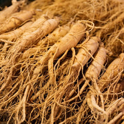 Korean Ginseng Seeds, Herbal