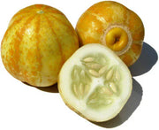 True Lemon Cucumber Seeds