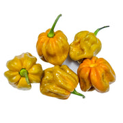 Habanero Mustard Pepper Seeds
